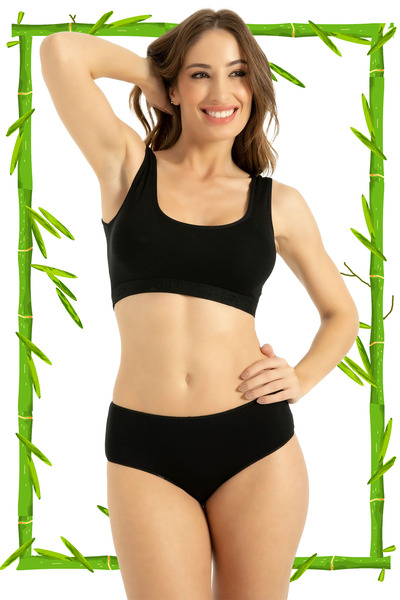 HRN Textile 2-Pack Bamboo High Waist Women's Bato Panties (Q-En 906)