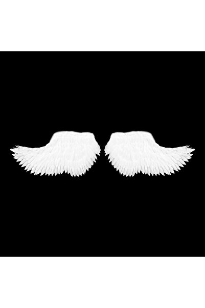 Crioflowers Aripi Inger 150cm