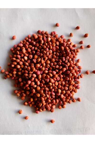 NESLİGEN SORGUM SUDAN OTU 25 KG