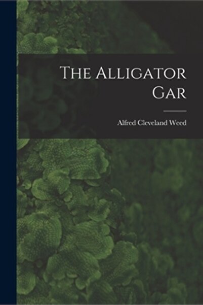 Legare Street Pr Aligatorul Gar
