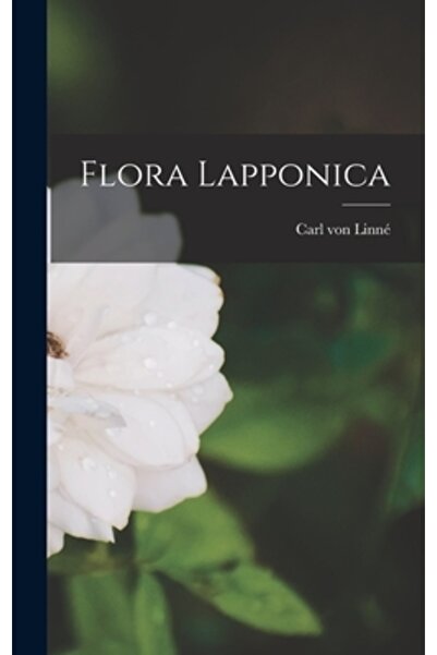 Legare Street Pr Flora Lapponica