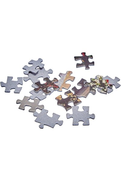 EDUCA jigsaw puzzle game, unisex, 12 years and up