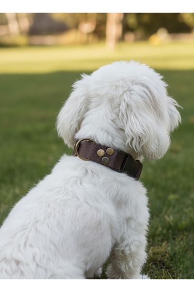 balkonda Dog Collar Adjustable Tiny & Small & Medium & Large Breed Collar Cor...