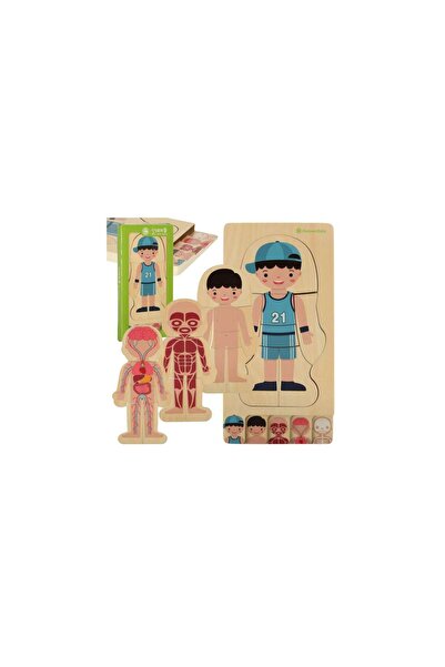 Three top online Puzzle Montessori din lemn stratificat pentru corp (băiat)