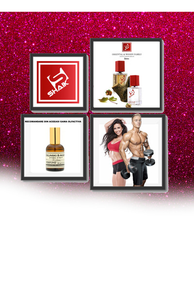 Shaik Nr. 511 Ficțiune Rozen