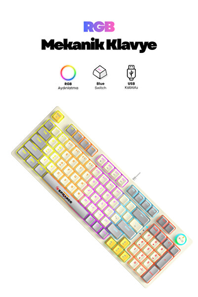 SPRANGE Mekanik Hisli Gaming Blue Switch Türkçe Q 9 Farklı Rgb Işıklı Beyaz O...