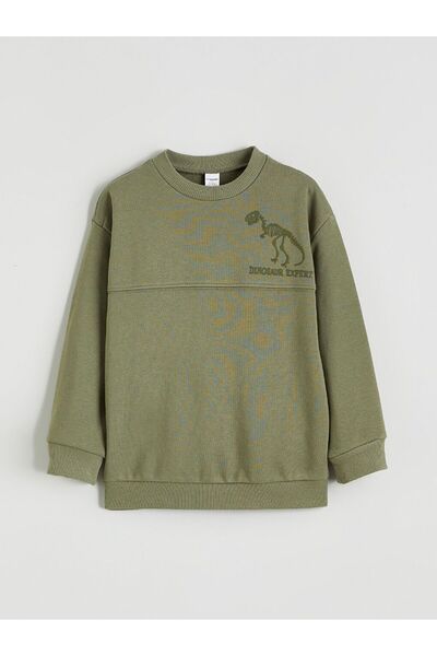 LC Waikiki Lcw Kids Crew Neck Printed Boys' Set of 2