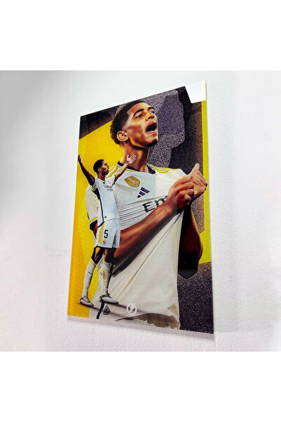 FLASHCARD Tablou Sticlă Acrilică Bellingham