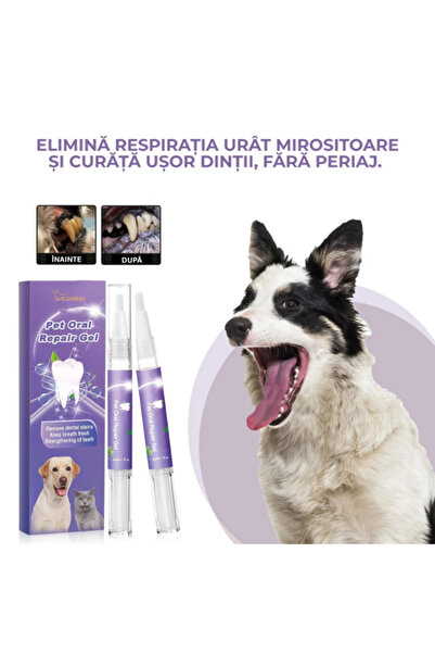 OEM Oral Hygiene Set for Pets