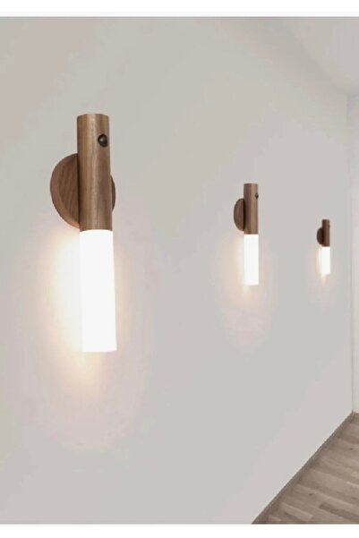 Hane216 DUVAR LAMBASI