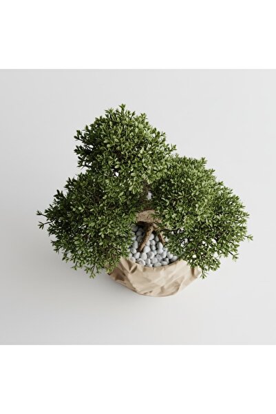 OEM Decorative Planter Crumpled Design – Sandstone Beige Color