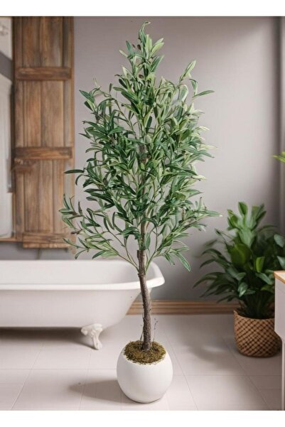 Nettenevime Yapay Zeytin Ağacı 160cm Doğal Gerçek Görünümlü Yapay Ağaç Beyaz ...