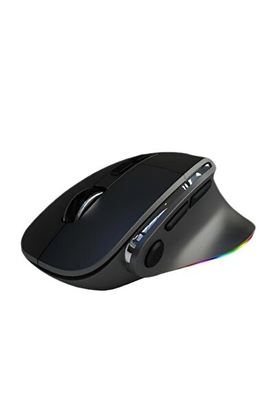 AdyMel Wireless Ergonomic Mouse, Dual 2.4GHz & Bluetooth, RGB, Gaming & Office, Black