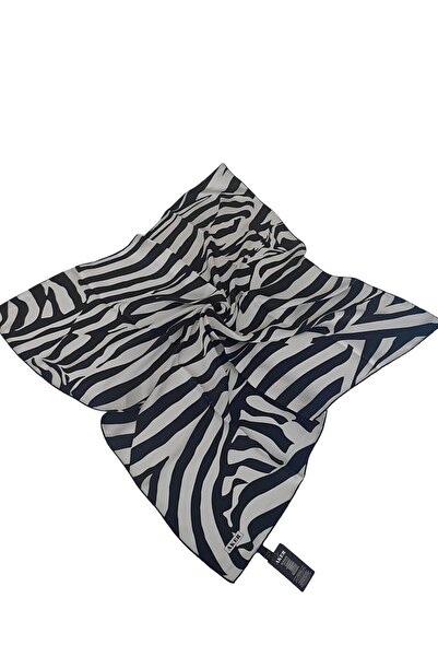 Aker Silk Crepe Satin Scarf 2026 Winter Season 9067701-312