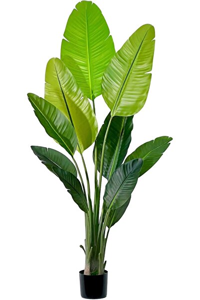 MirageBotanics 5.2ft Artificial Banana Plant Faux Bird of Paradise with UV Planter