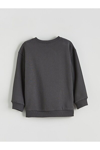 LC Waikiki Lcw Kids Printed Boys' Sweatshirt