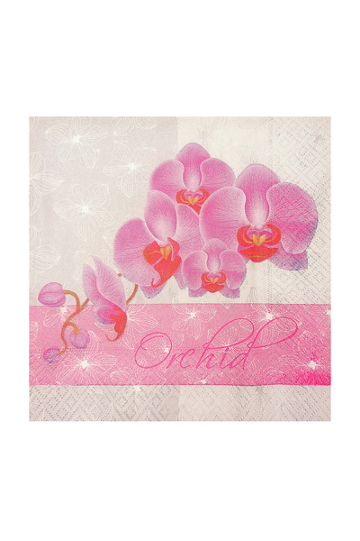 Story مناديل ورقية مزخرفة بنقش زهرة الأوركيد مقاس 33×33 سم، طبقتين، 20 قطعة، لون رمادي فاتح