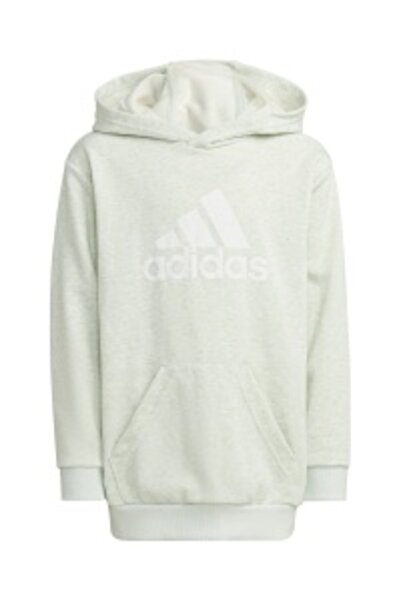 adidas Icons Hoodie