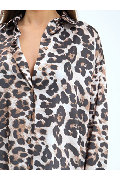 GENCULUS 5764 the Night Star