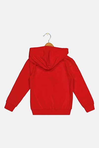 Marvel Toddlers Boy Spider-Man Long Sleeve Hoodie, Red