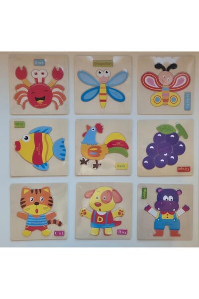 OEM Set 9 puzzle-uri din lemn, 15x15 cm, imagini colorate