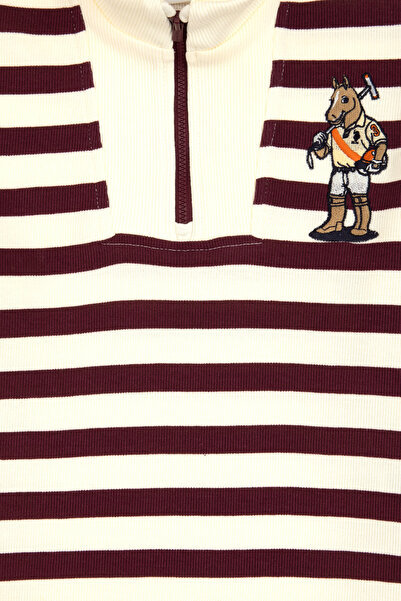 U.S. Polo Assn. Boy's Burgundy Sweatshirt 50316707-Vr177