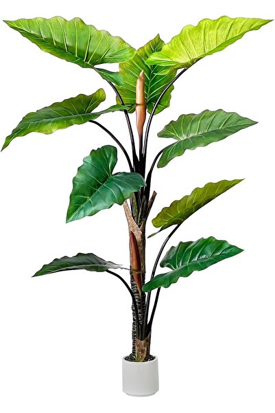 MirageBotanics 5ft Artificial Rainbow Taro (Faux Banana) Tree with White Planter