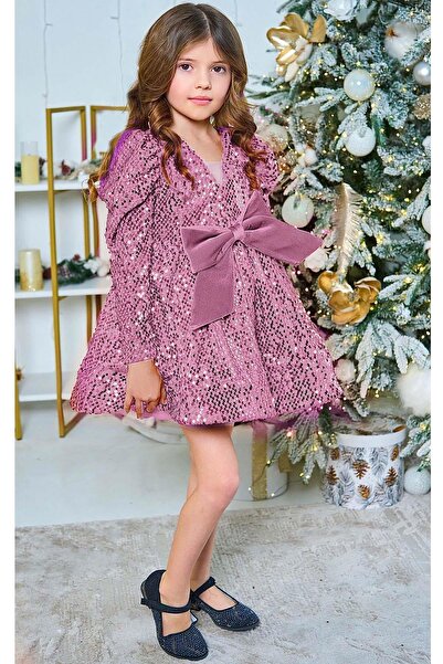 Riccotarz Girl's V-Neck Sequin Embroidered Skirt Puffy Velvet Powder Evening Dress