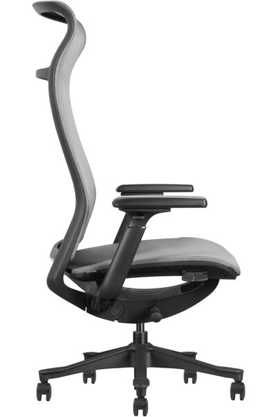 prowork Gio Ergonomic Office Chair, Breathable Mesh, 3-Lock Recline, Adjustable Height (Grey)