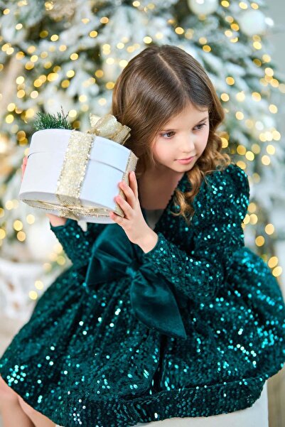 Riccotarz Girl's V-Neck Sequin Embroidered Skirt Puffy Velvet Green Evening Dress