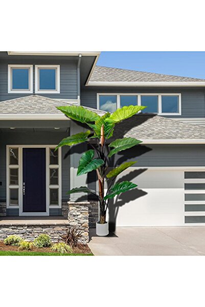 MirageBotanics 5ft Artificial Rainbow Taro (Faux Banana) Tree with White Planter