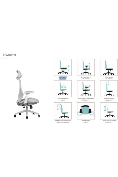 prowork Aria Ergonomic Mid-back Office Chair, Adjustable Lumbar, Neck Support, 3D Armrests (Grey)