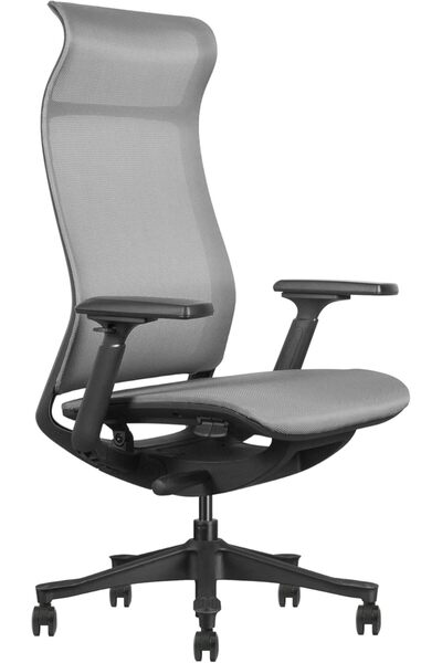 prowork Gio Ergonomic Office Chair, Breathable Mesh, 3-Lock Recline, Adjustable Height (Grey)