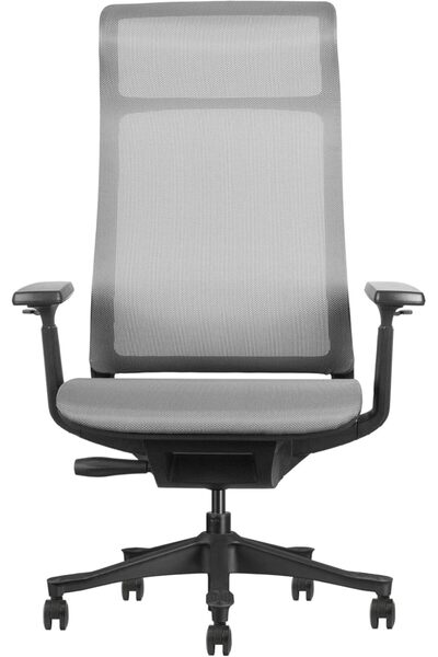 prowork Gio Ergonomic Office Chair, Breathable Mesh, 3-Lock Recline, Adjustable Height (Grey)