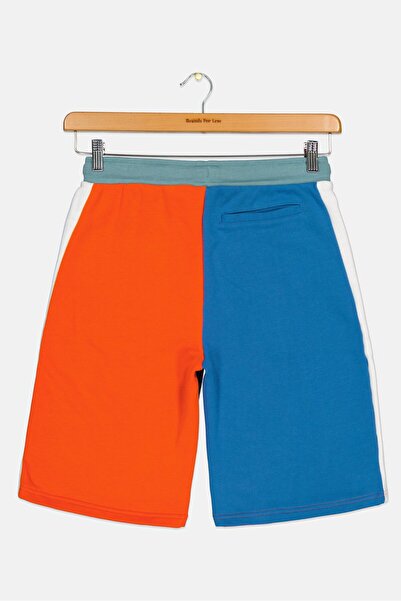 Puma Kids Boy Brand Logo Outdoor Shorts, Multicolor