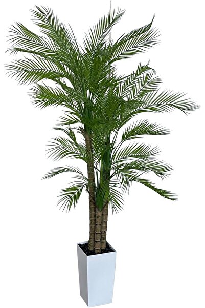 MirageBotanics Artificial Palm Tree 210cm Faux Palm Tree in White Planter - Indoor/Outdoor