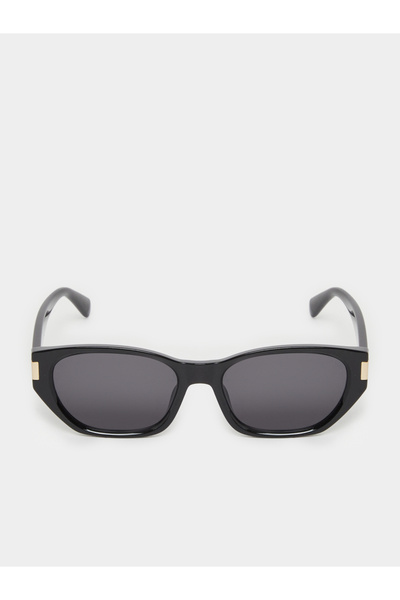 Styli Metallic Accent Cat Eye Sunglasses