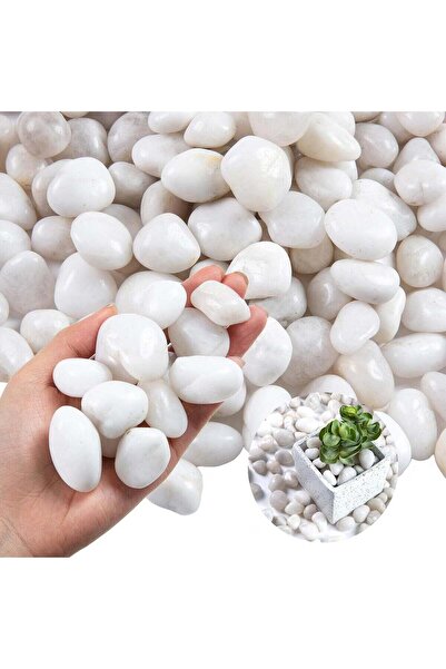 Generic 20 رطلاً (9 كجم) من صخور النهر الأبيض - حصى مصقولة عالية الجودة للنباتات الداخلية وأحواض السمك - 1-3 سم