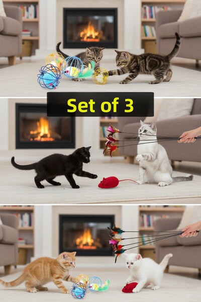 rianka 3-Piece Interactive Cat Play Set: Cat Fishing Rod with Plush Mouse and...