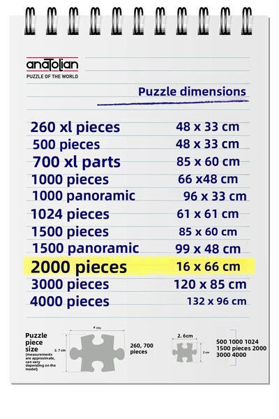 Anatolian Puzzle 2000 Piece Jigsaw Puzzle - the Spirit of Flying 3903