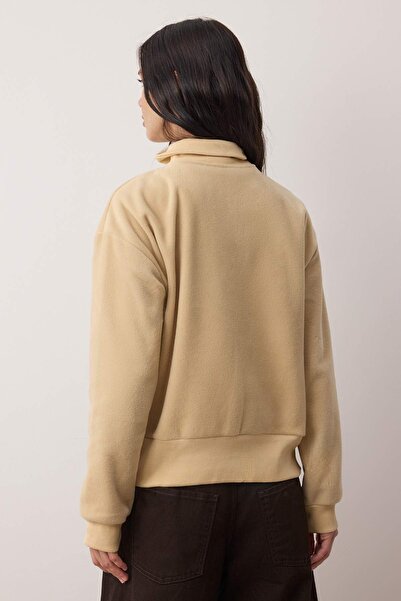 Trendyol Collection Stone Regular/Normal Fit Zipper Detail Stand Collar Fleece Thick Knitted Sweatshirt Twoaw26Sw00026