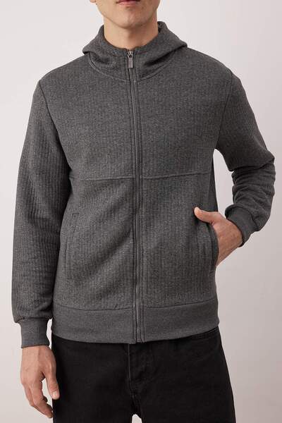 Trendyol Collection Gray Regular/Normal Cut Textured Hooded Sweatshirt Tmnaw26Sw00061