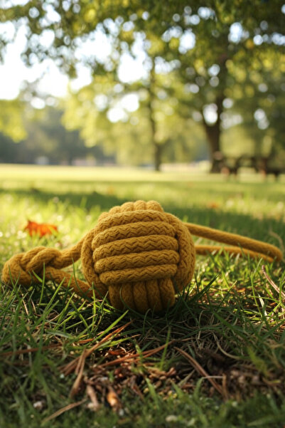shop Monkey Fist Köpek Oyuncağı – Dayanıklı Pamuk İpli, Doğal Top ve Çekiştirme Oyuncağı (Medium)