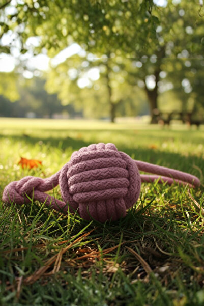 shop Monkey Fist Köpek Oyuncağı – Dayanıklı Pamuk İpli, Doğal Top ve Çekiştirme Oyuncağı (Medium)