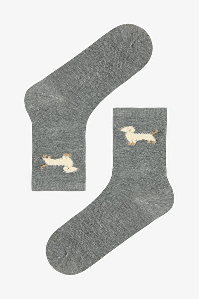 Penti 3 Pairs of Cotton Plush Dog Pattern Socks