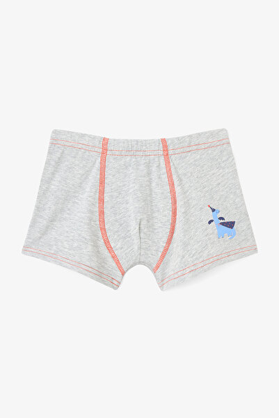 Penti Boy's Carousel Dinosaur Printed 2-Piece Boxer