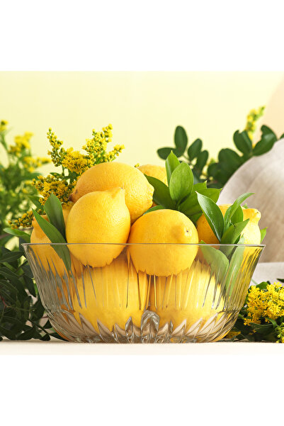 LAV Alinda Glass Salad Bowl Single Extra Large 2050 ml (Presentation Bowl, Preparation Bowl)