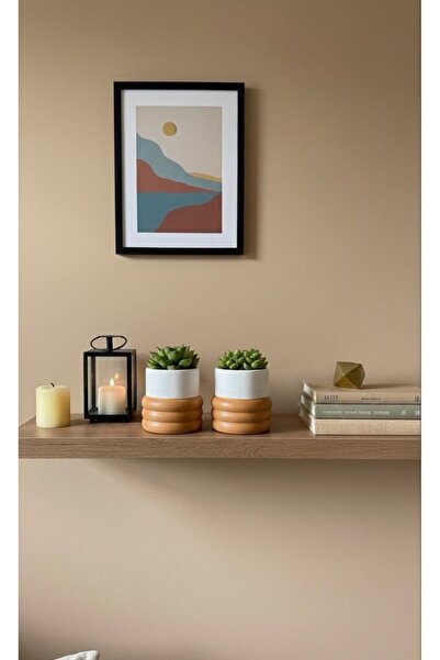 Home (BİTKİSİZ) Premium 2li Set Turuncu Krem Kaktüs Ve Sukulent Beton Saksı S...