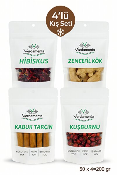 verdamenta Kış Çayı Seti - Tarçın, Hibiskus, Kuşburnu, Kök Zencefil 50 x 4 =2...