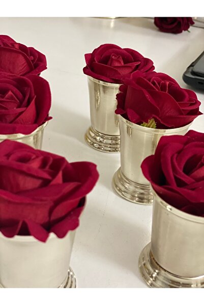 Elzemm store 6 قطع من الورود المطلية بالفضة بما في ذلك الورود المخملية باللون الأحمر